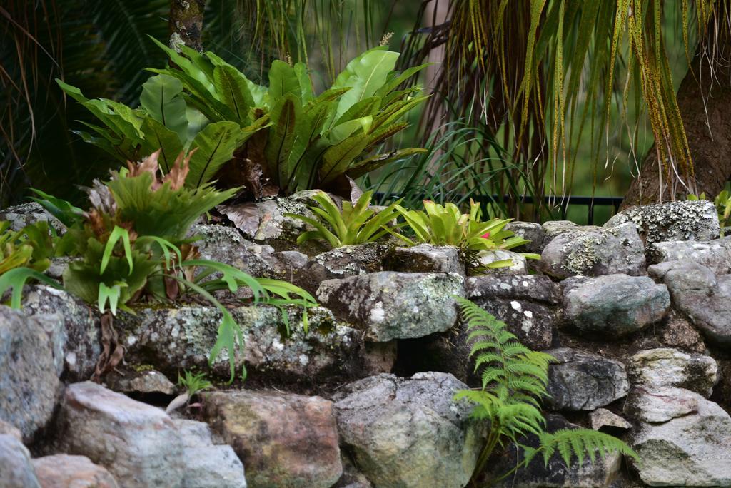 Mccarthy Lake House Maleny Luaran gambar