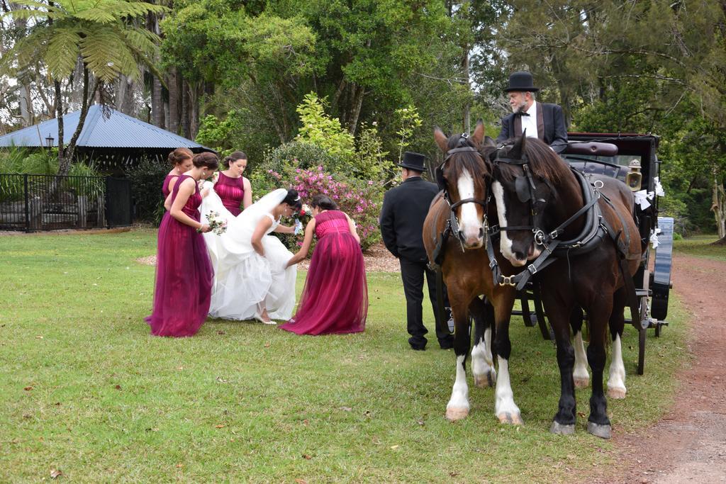 Mccarthy Lake House Maleny Luaran gambar